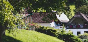 permakulturhof ellersbacher ueberblicksfoto hof
