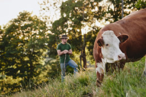 grosse kuh vom permakulturhof ellersbacher im vordergrund hinten steht jungbauer stefan schwaighofer laessig auf einen stock gestuetzt